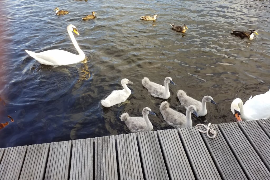 124592 - Niet-getagd