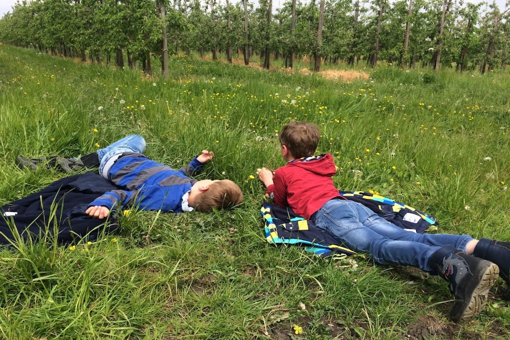 185364 - Niet-getagd