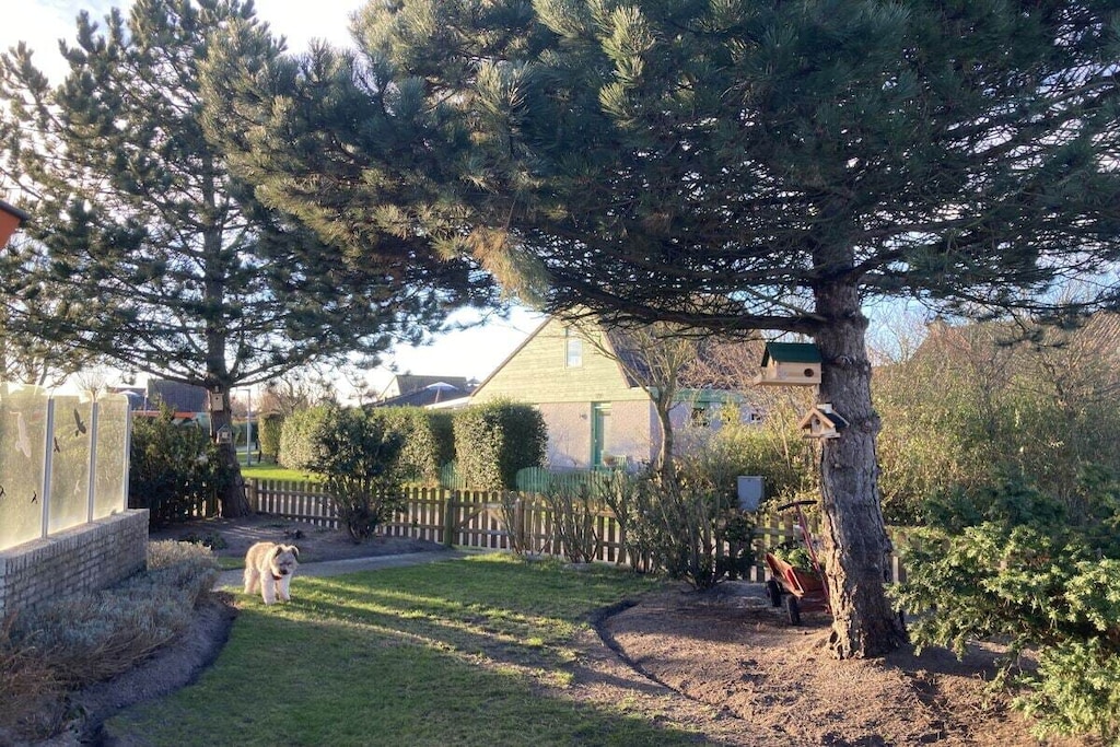 354379 - Non tagué