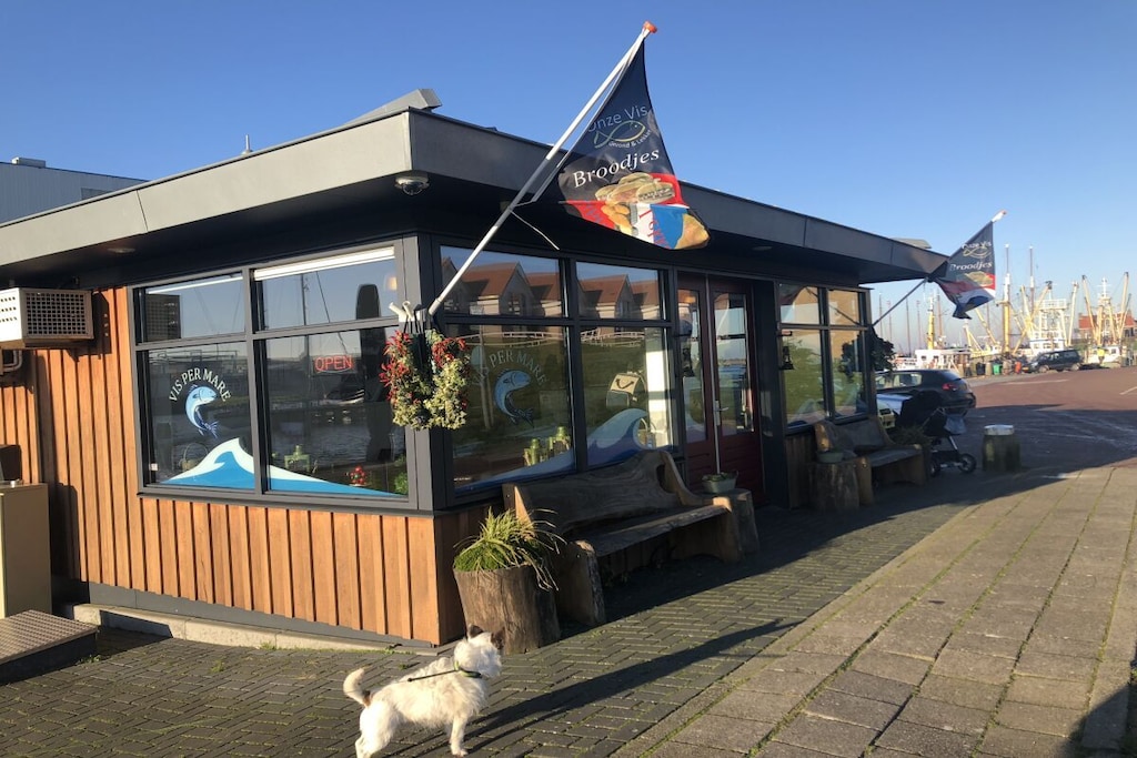 325781 - Niet-getagd