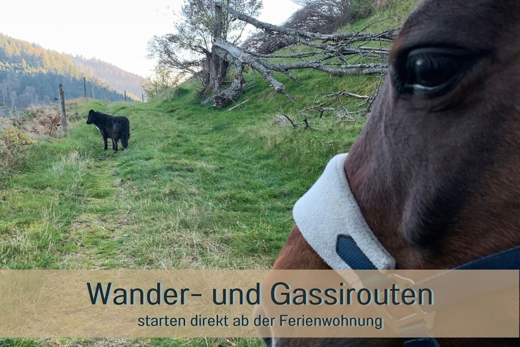 78633 - Niet-getagd