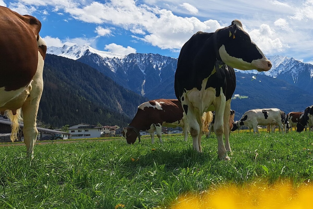 265700 - Nicht zugeordnet