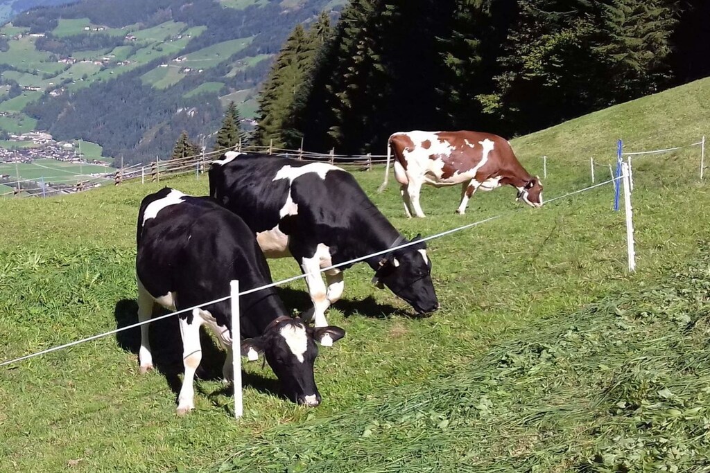 265700 - Nicht zugeordnet