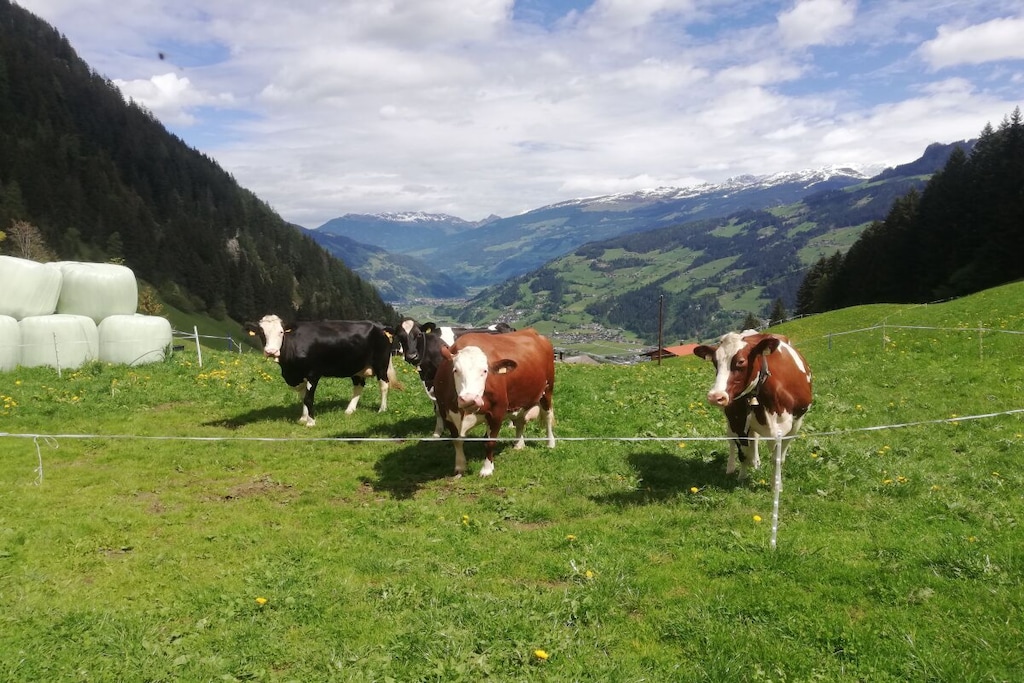265700 - Nicht zugeordnet