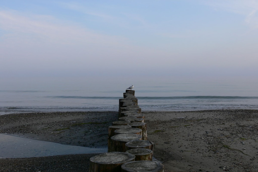 220794 - Niet-getagd