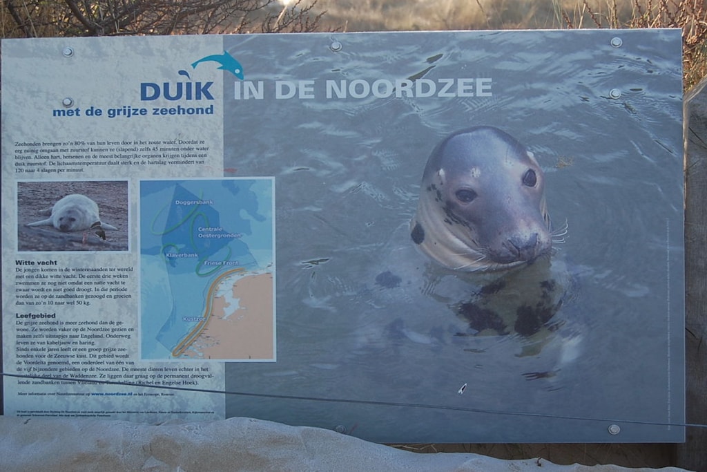 105983 - Niet-getagd