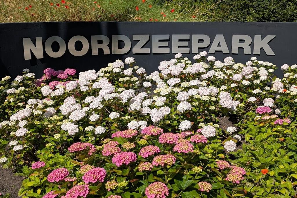 753126 - Niet-getagd