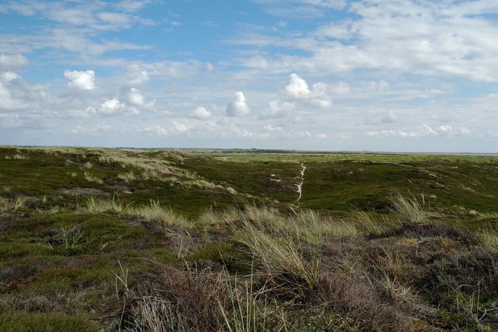 85216 - Niet-getagd