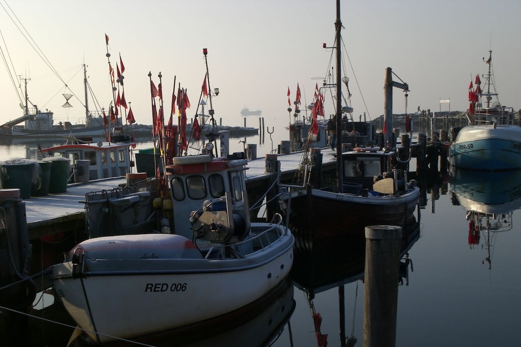 59207 - Niet-getagd