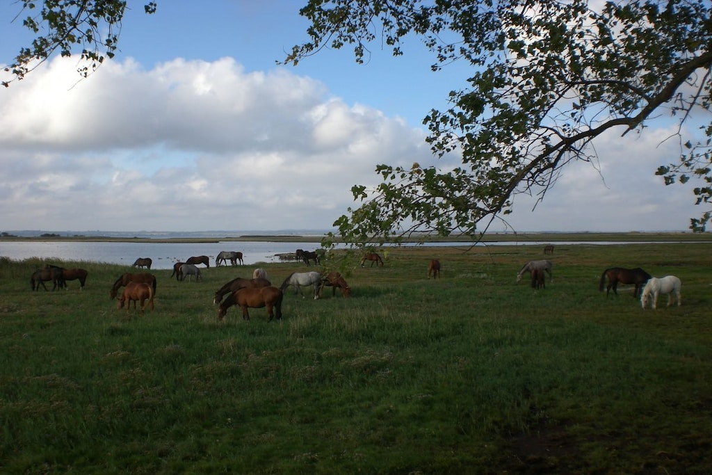 59207 - Niet-getagd