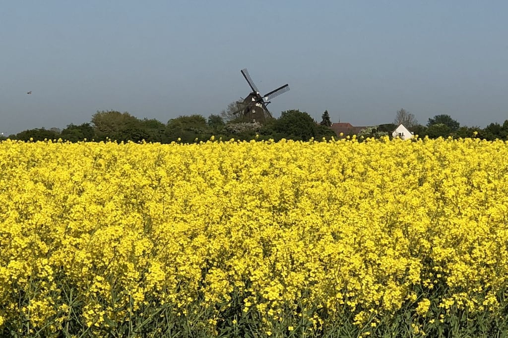 239762 - Niet-getagd