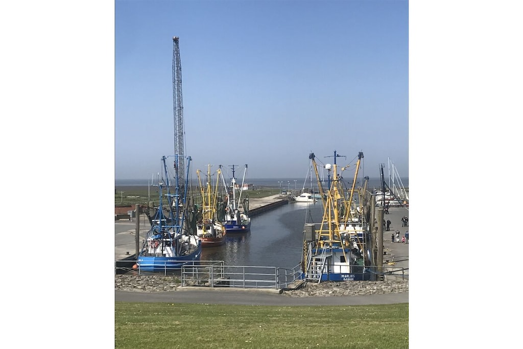 255350 - Niet-getagd