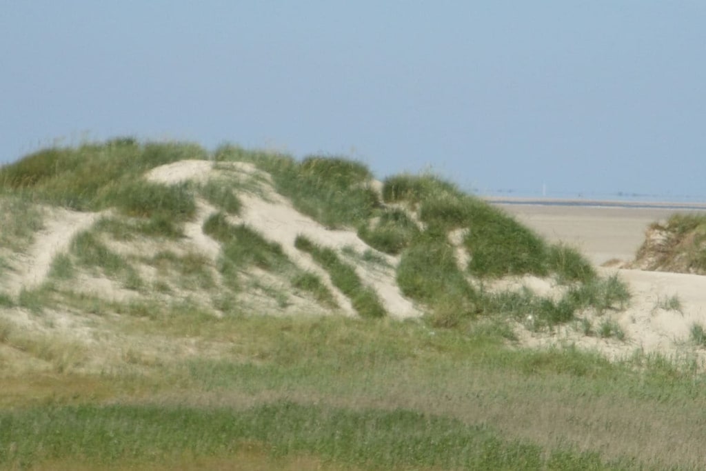 246772 - Niet-getagd