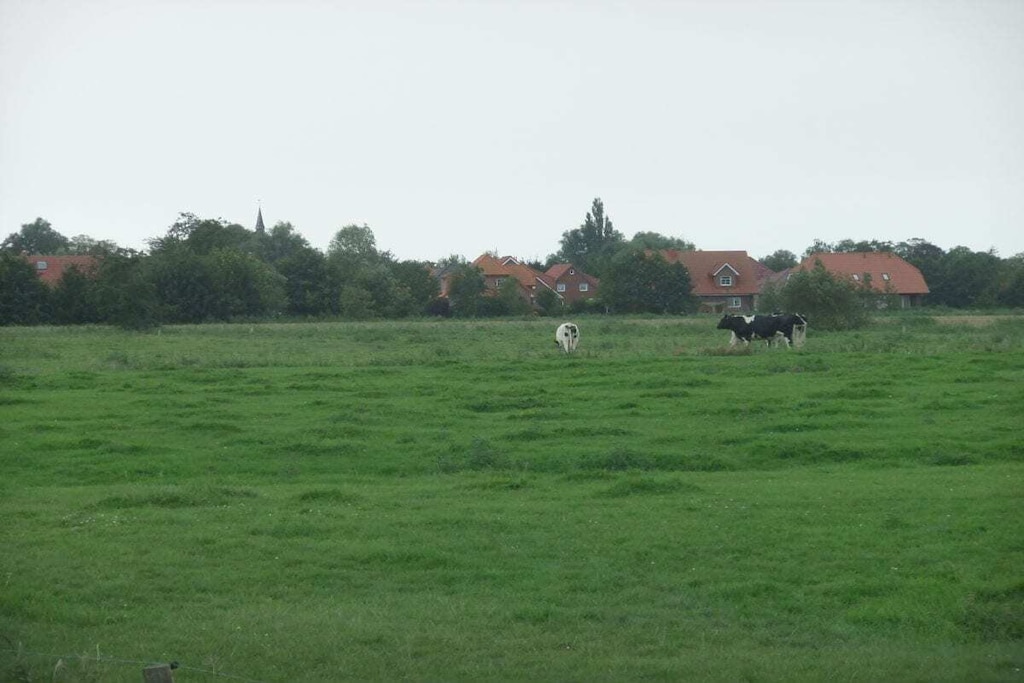 44642 - Niet-getagd