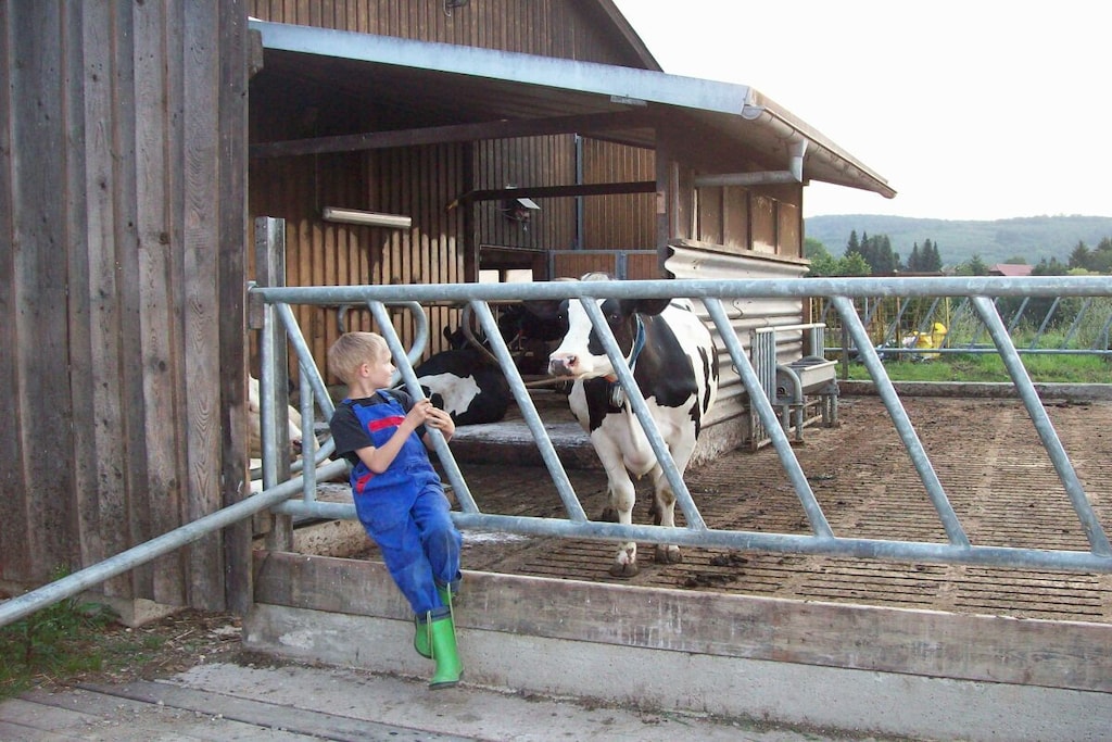 53481 - Niet-getagd