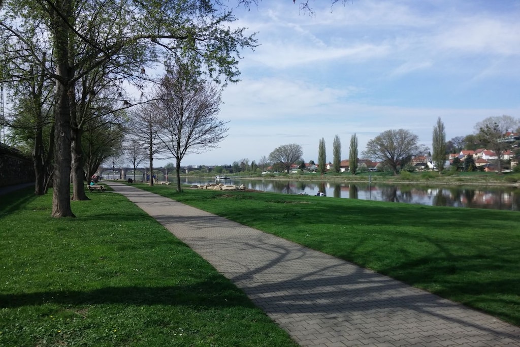 80391 - Niet-getagd