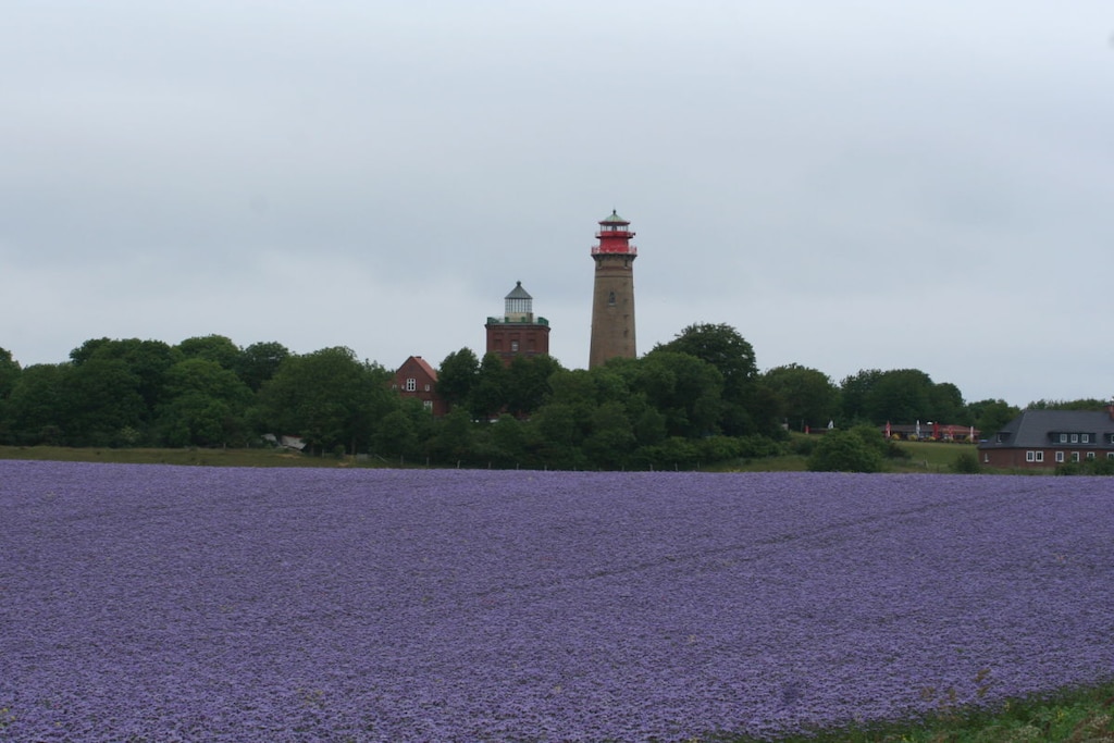 119526 - Niet-getagd