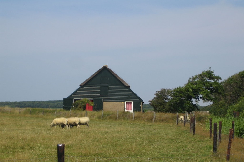 10737 - Niet-getagd
