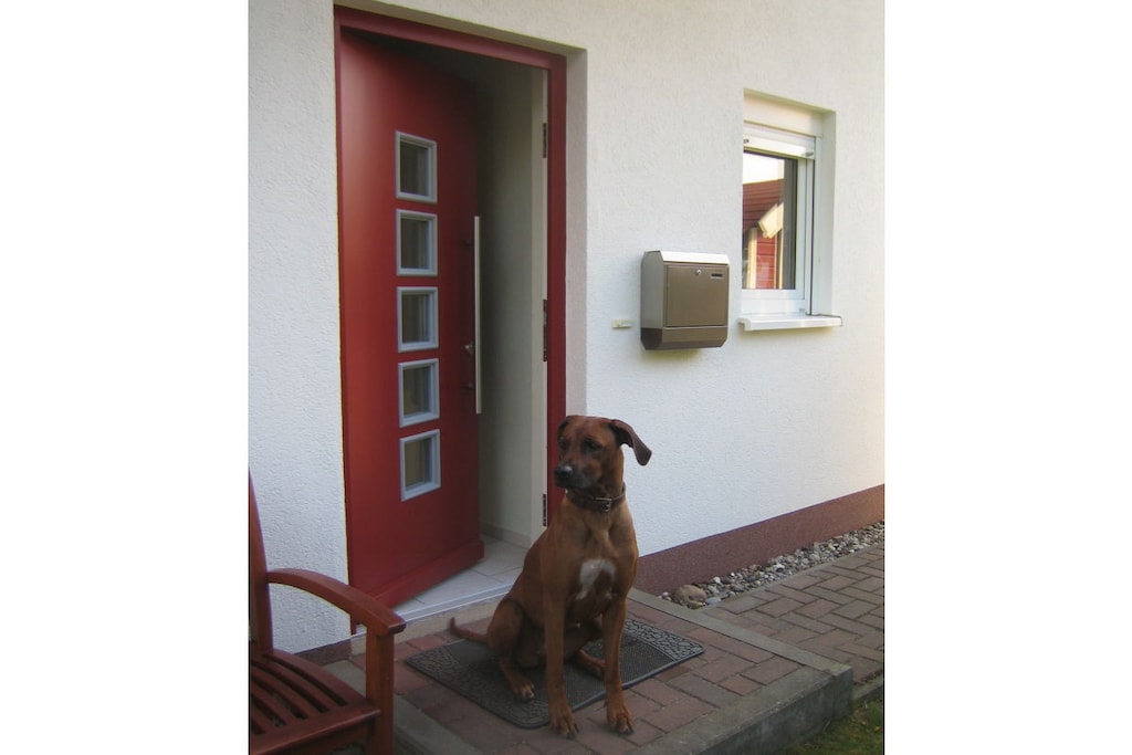 216732 - Niet-getagd