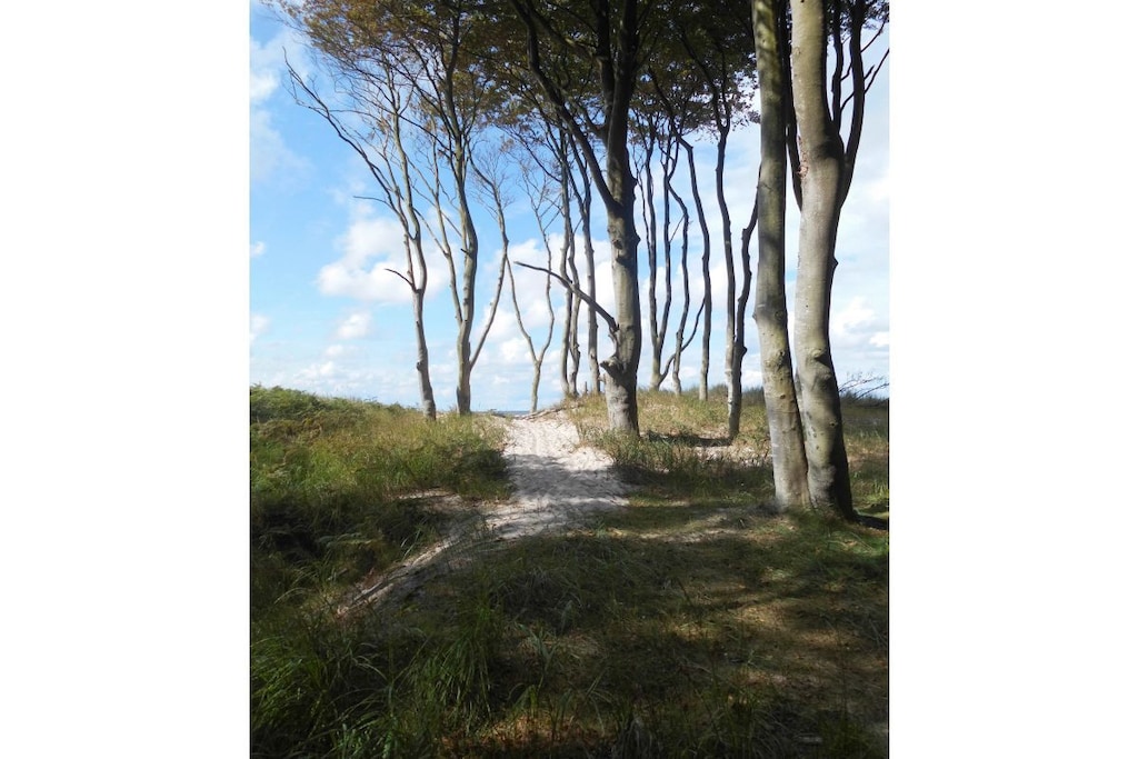 195077 - Niet-getagd