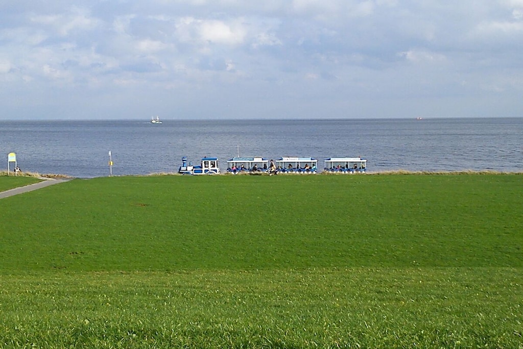 271623 - Non tagué