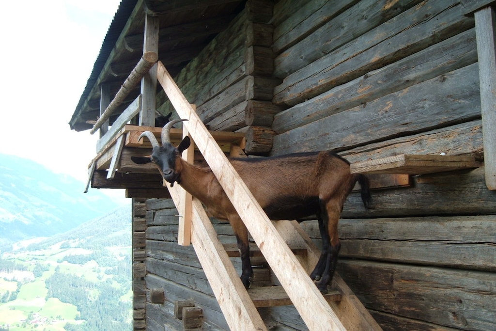 208861 - Nicht zugeordnet