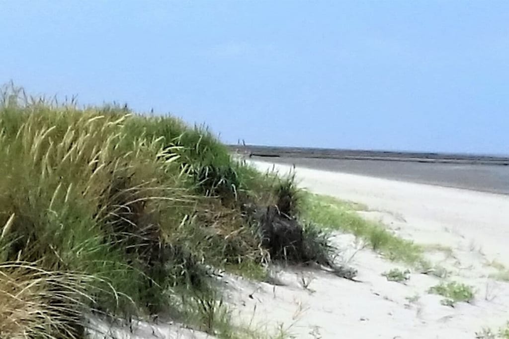275564 - Non tagué