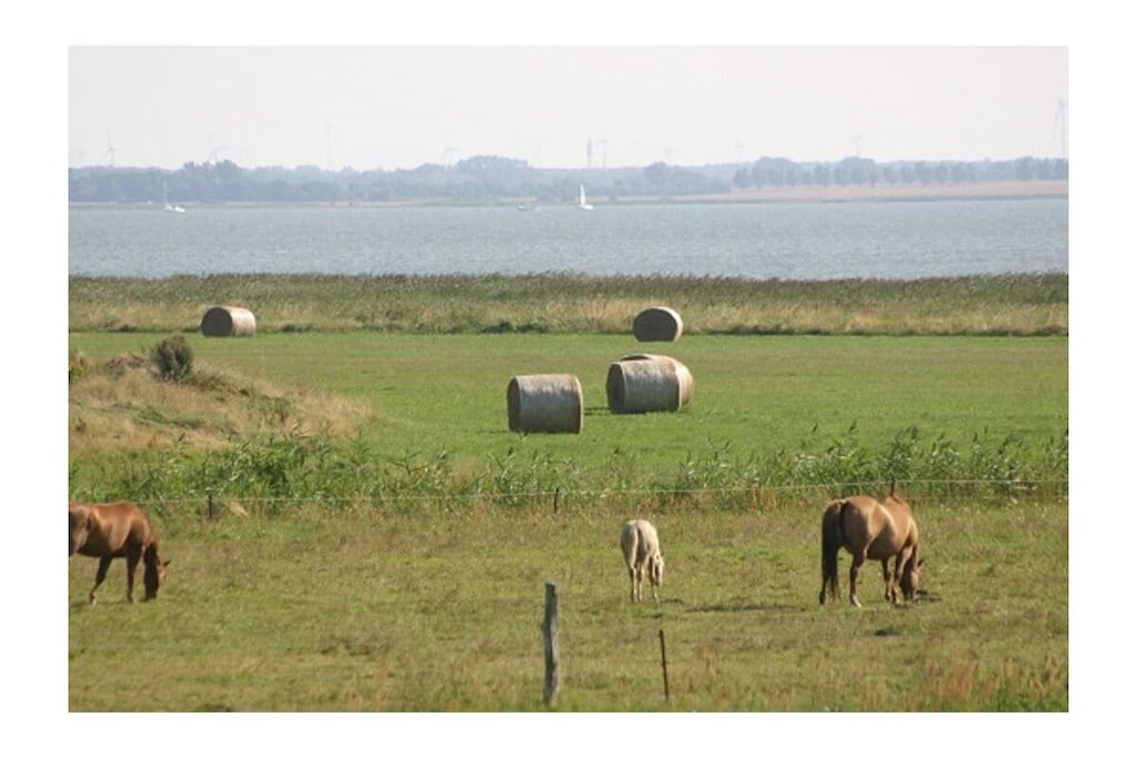 436213 - Niet-getagd