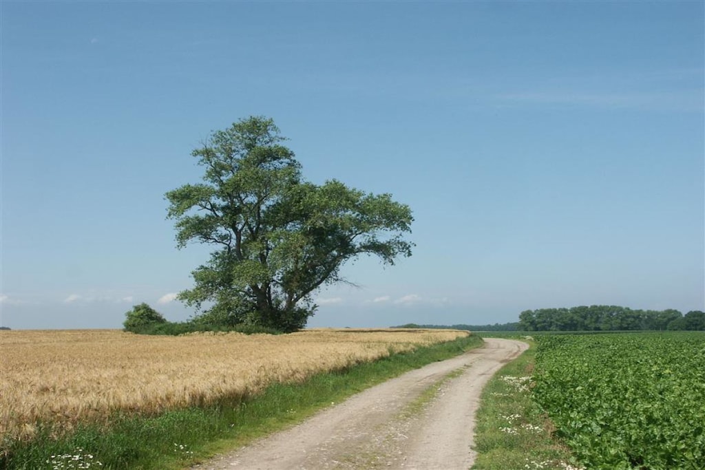 96935 - Niet-getagd