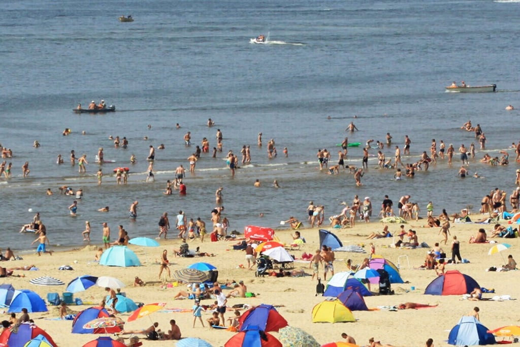 492865 - Untagged