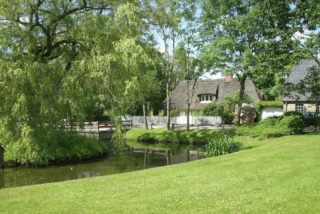 55402 - Niet-getagd