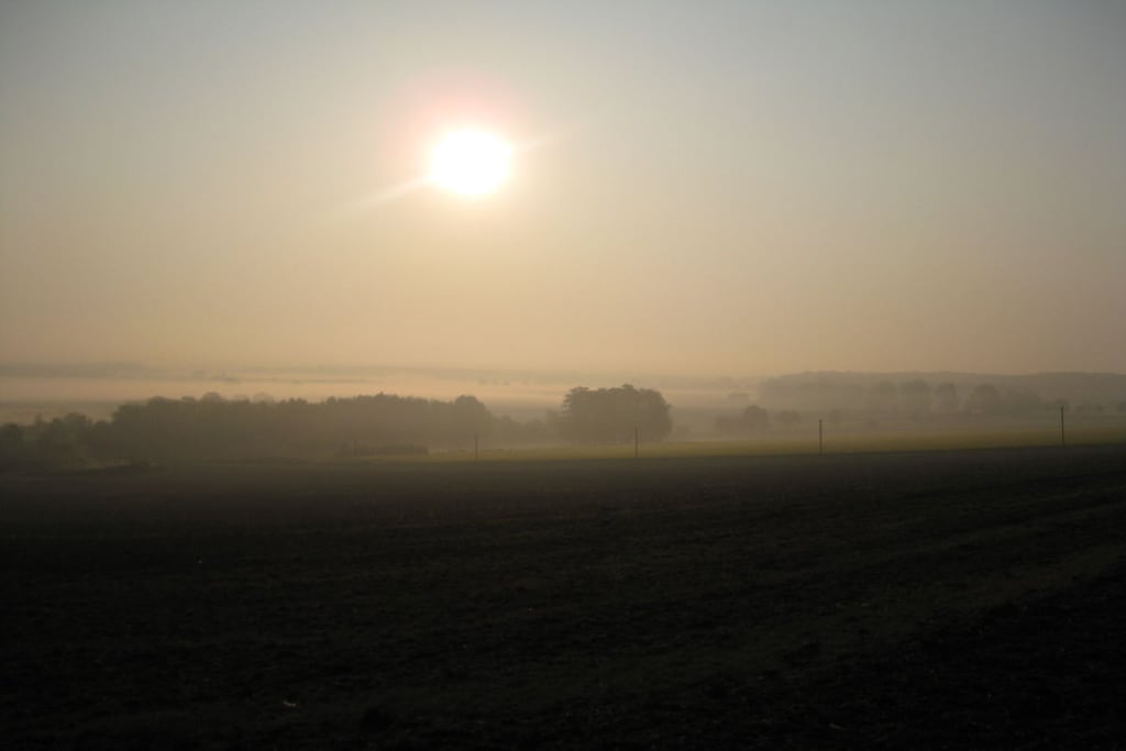 39263 - Niet-getagd