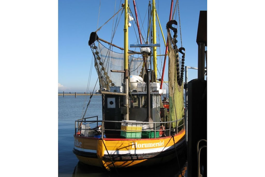 255210 - Niet-getagd