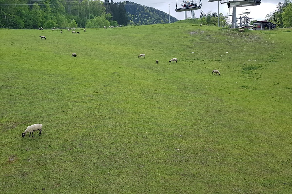 245905 - Nicht zugeordnet