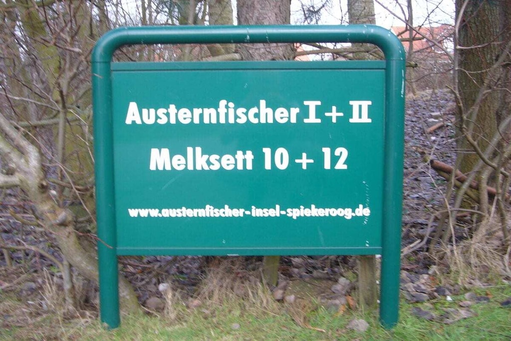 293119