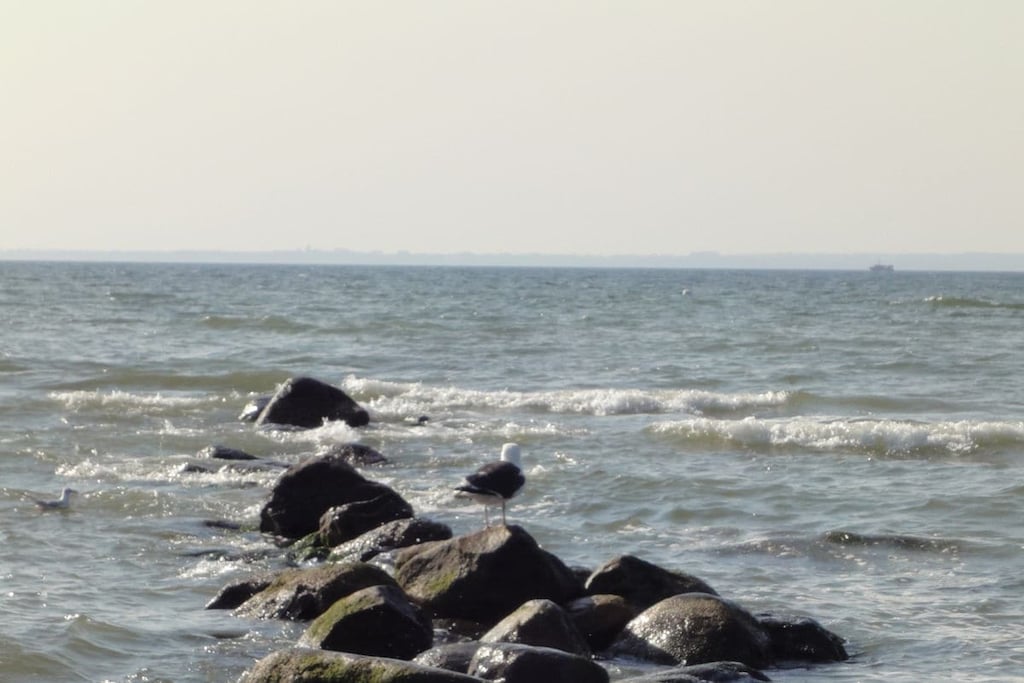 95941 - Niet-getagd