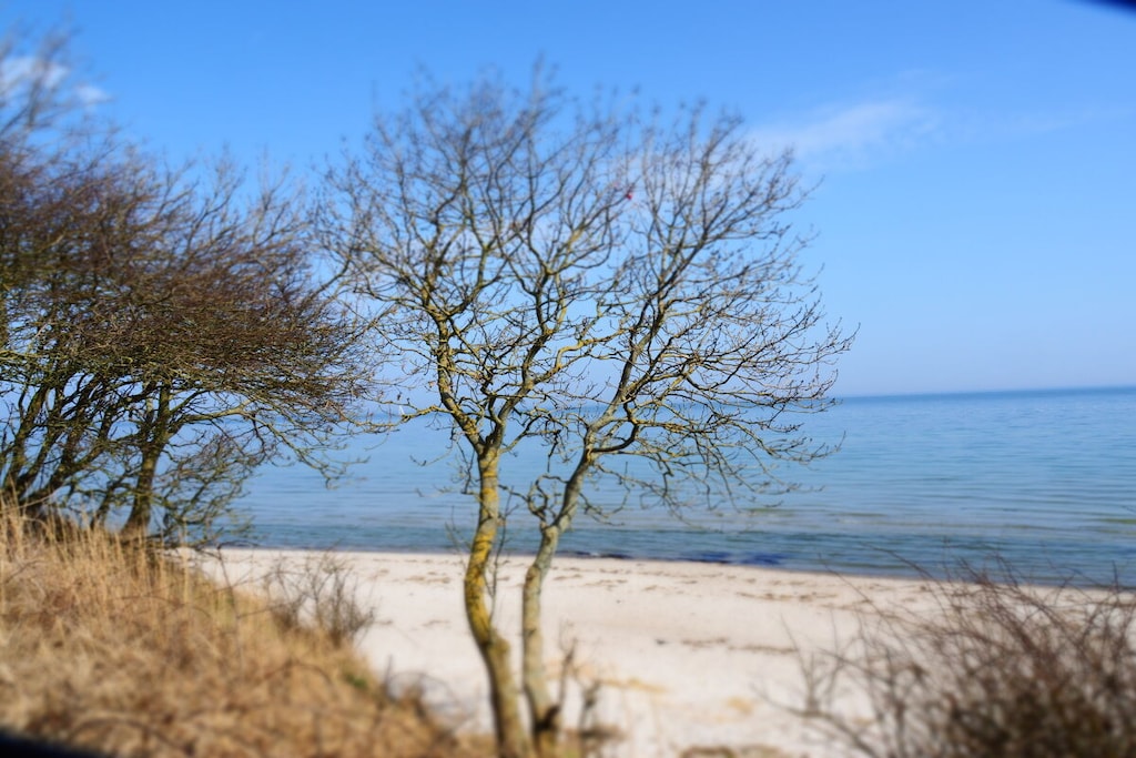 258185 - Niet-getagd