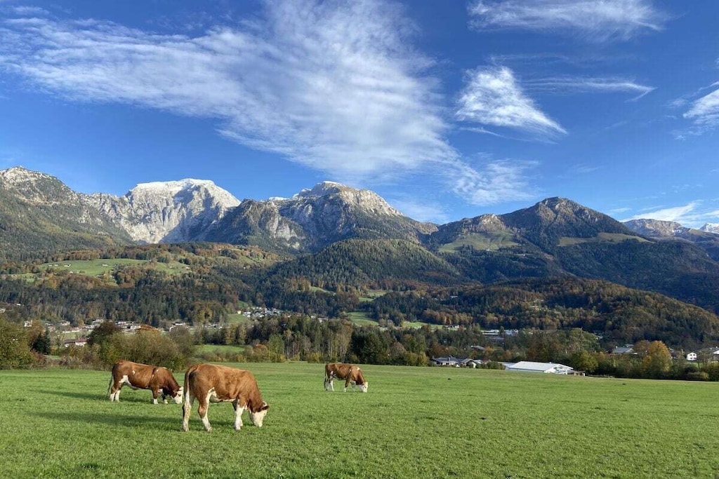 770955 - Niet-getagd