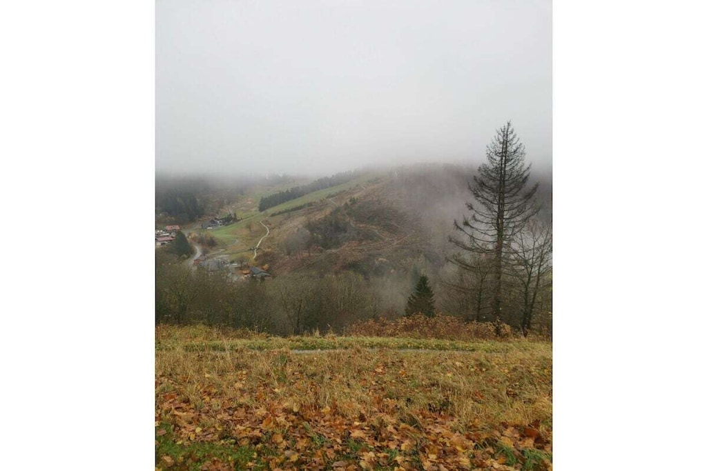 383361 - Nicht zugeordnet