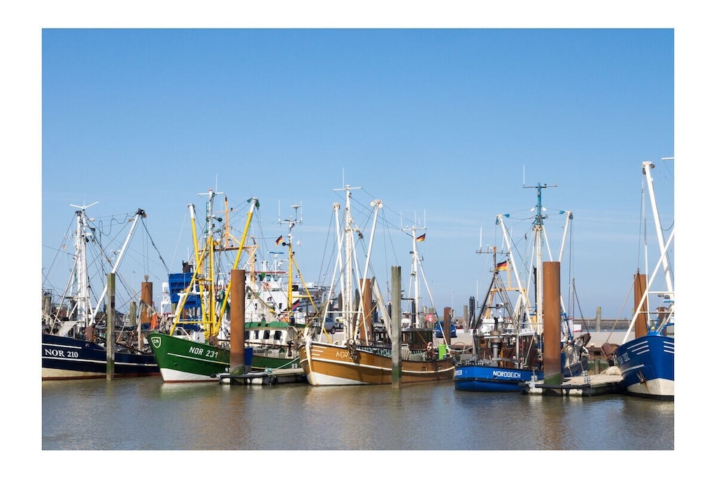 276896 - Niet-getagd