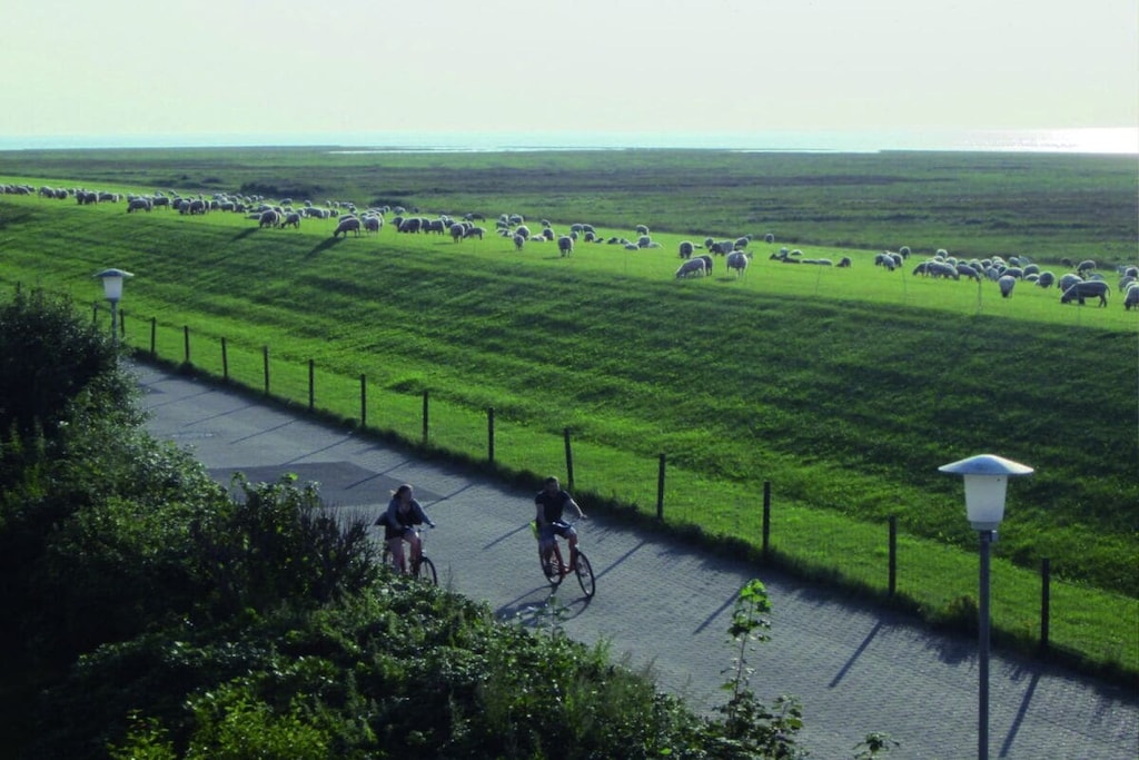 255325 - Niet-getagd