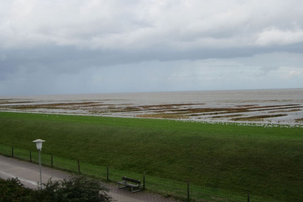255325 - Niet-getagd