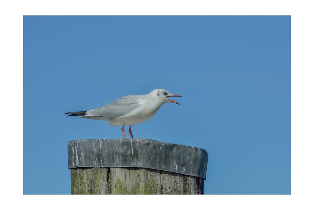 498417 - Niet-getagd