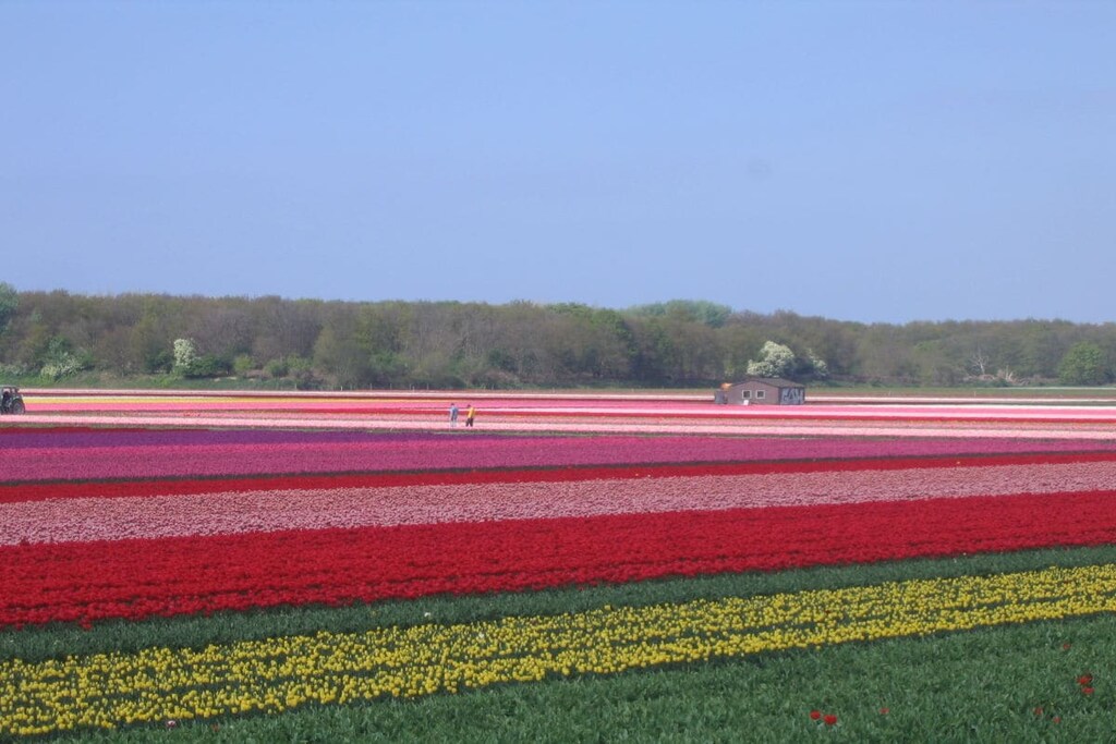232458 - Niet-getagd