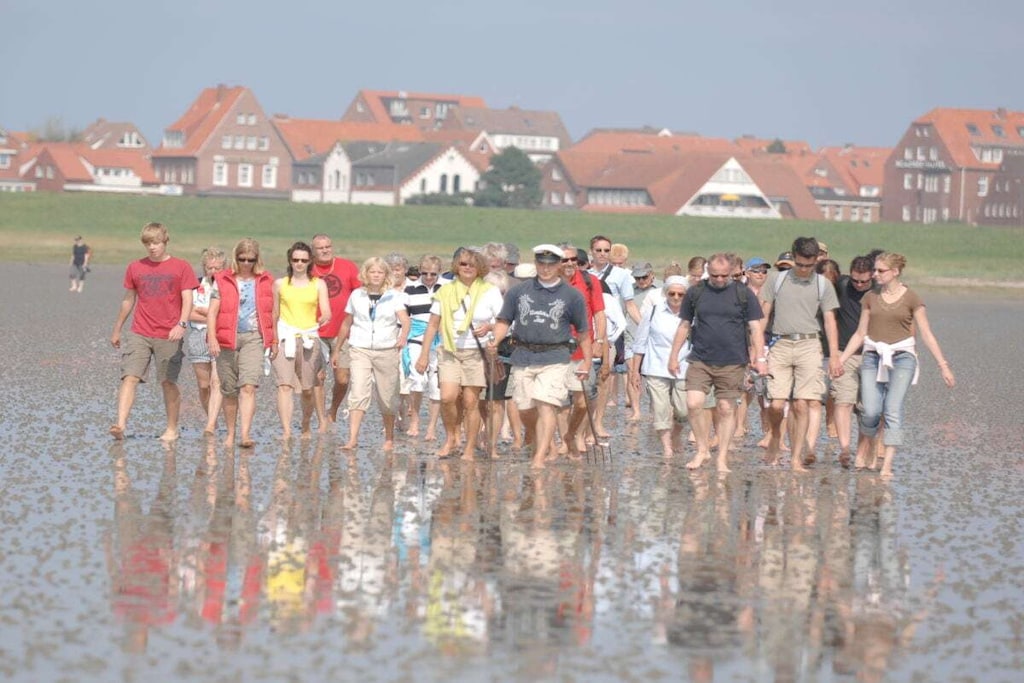 85113 - Niet-getagd