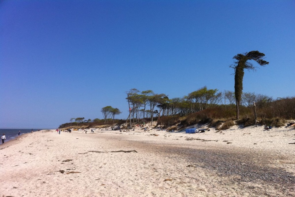 44733 - Niet-getagd