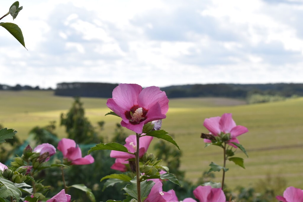 58745 - Niet-getagd