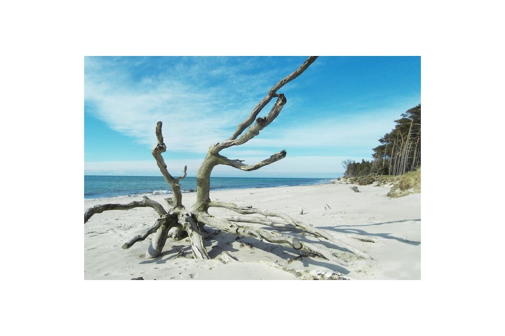 209547 - Niet-getagd