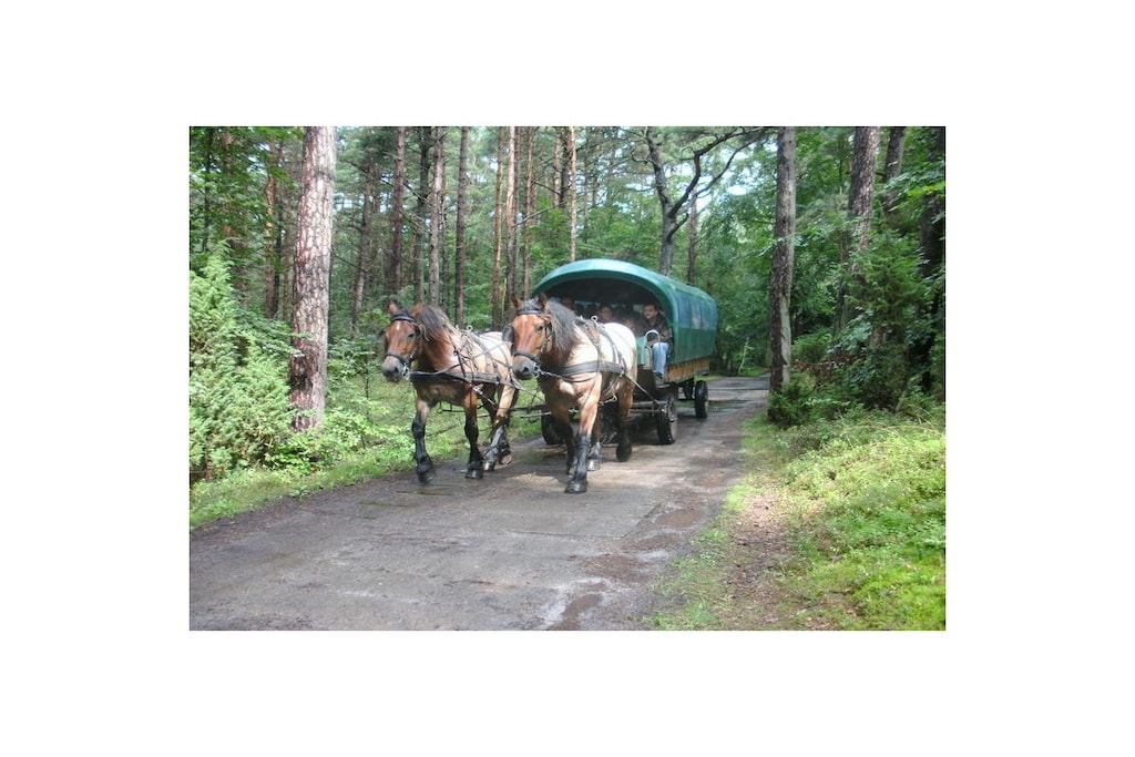 273944 - Niet-getagd