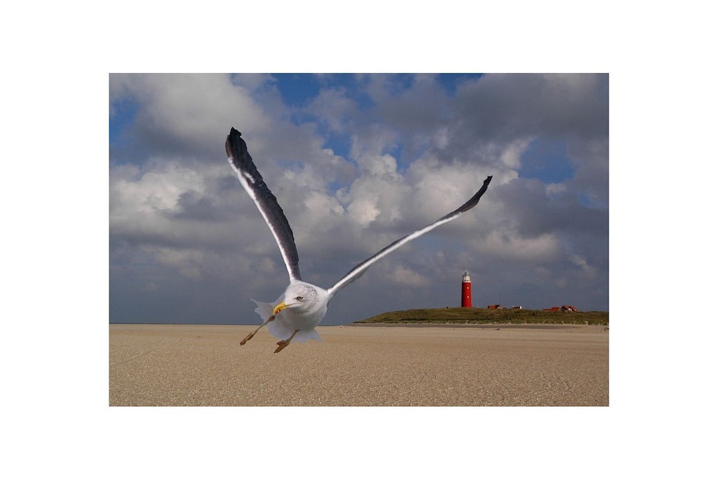 235851 - Niet-getagd